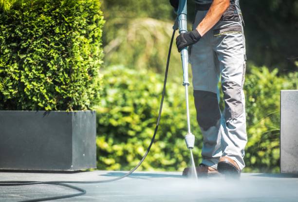 Best Fence Cleaning  in Beach Haven, NJ