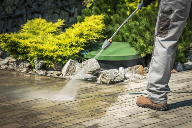 Best Sidewalk and Walkway Cleaning  in Beach Haven, NJ